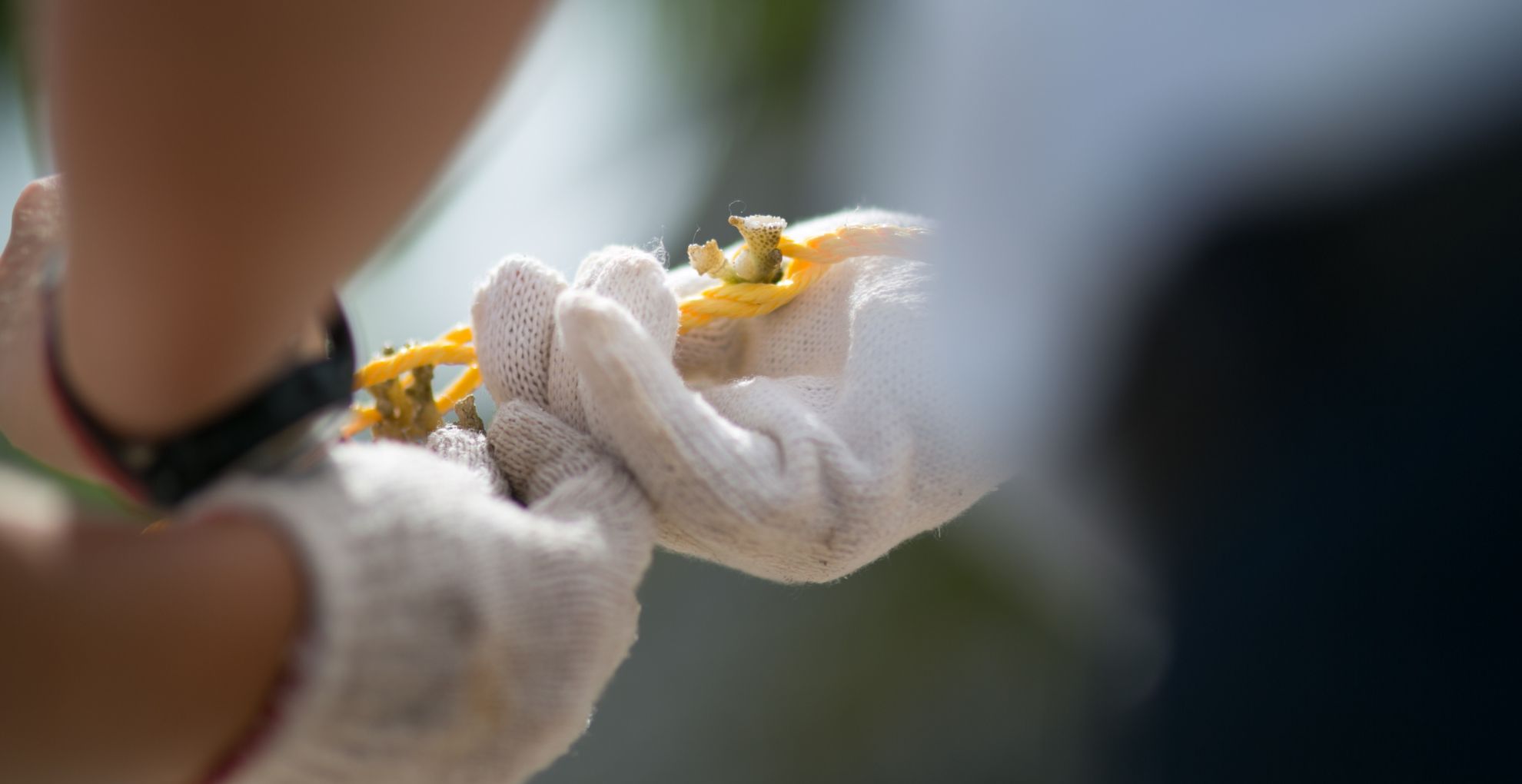 marine biology colleges