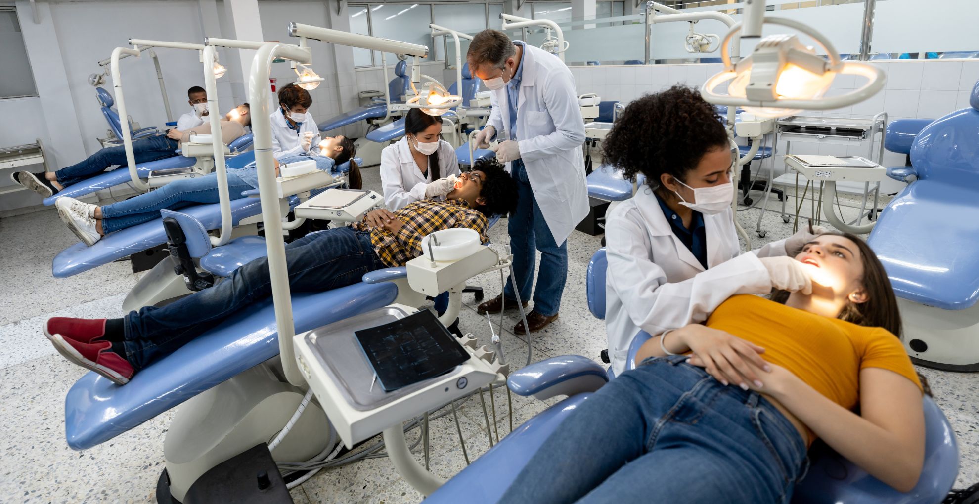 Dental Schools