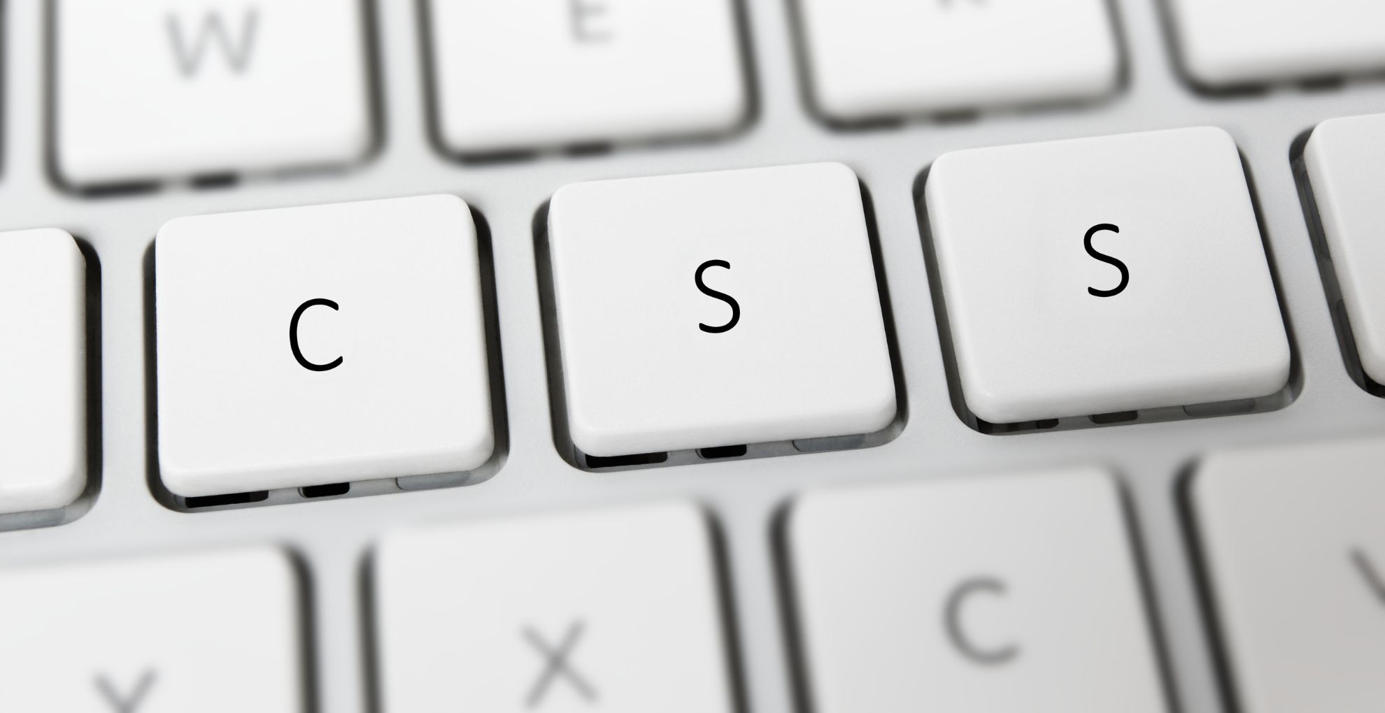 CSS Profile and the FAFSA