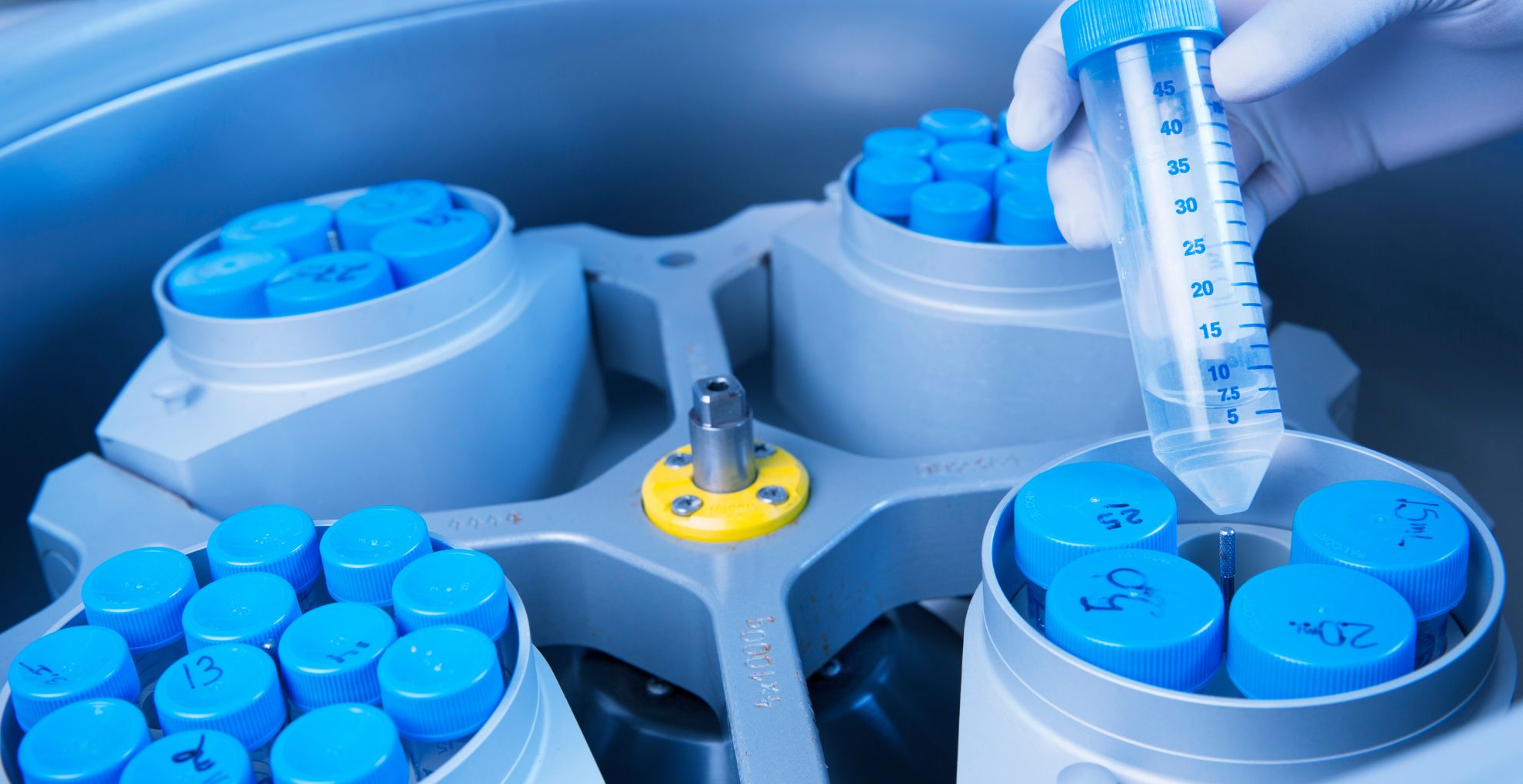 what does aas stand for in college